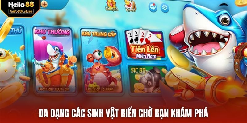 Đa dạng các sinh vật biển chờ bạn khám phá
