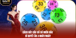 Cách Bắt Cầu Xổ Số Miền Bắc - Bí Quyết Ăn 3 Nháy/Ngày