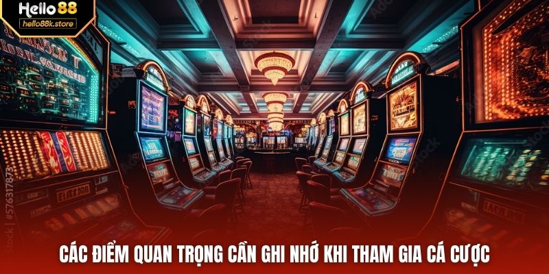 Các điểm quan trọng cần ghi nhớ khi tham gia cá cược