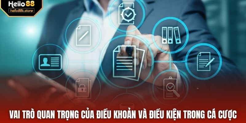 Vai trò quan trọng của điều khoản và điều kiện trong cá cược