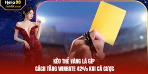 Kèo Thẻ Vàng Là Gì? Cách Tăng Winrate 42% Khi Cá Cược