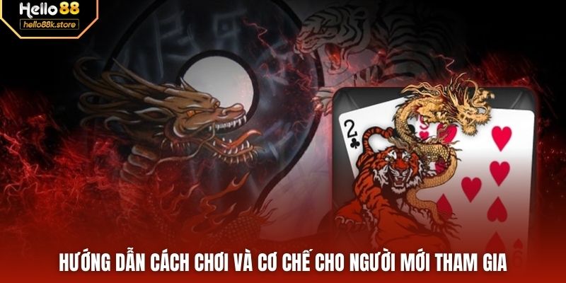 Hướng dẫn cách chơi và cơ chế cho người mới tham gia