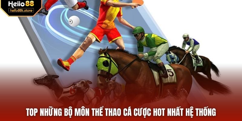 Top những bộ môn thể thao cá cược hot nhất hệ thống